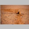 2015_10_13_1121_Agadir-Strand_IMG_6250_72dpi.jpg